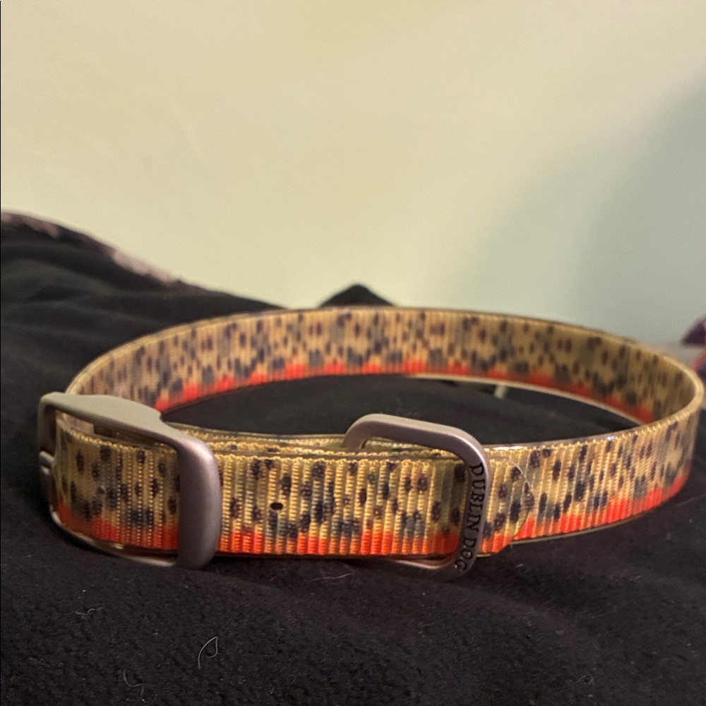 Dublin Dog collar